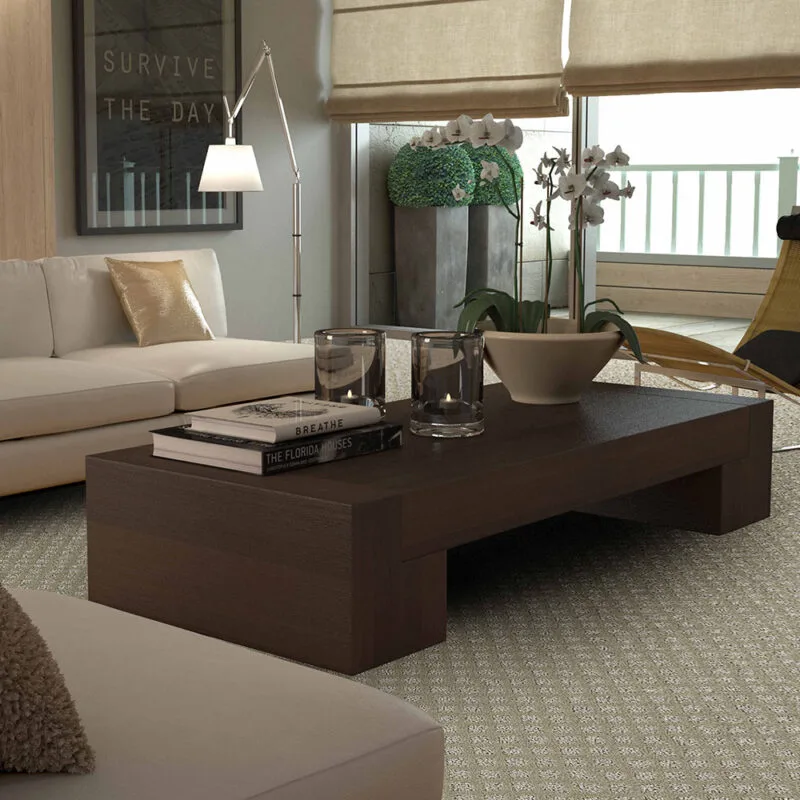 Living room with plush patterned carpet