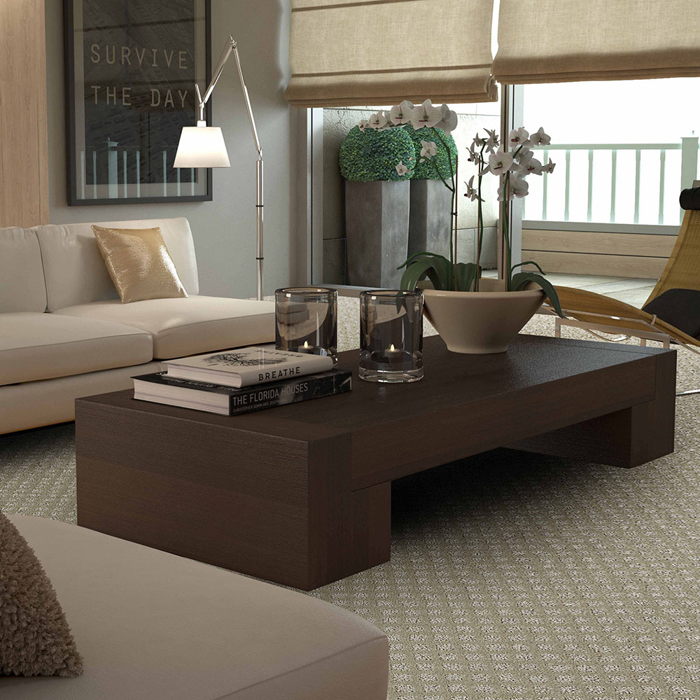Lexmark Carpeting at River's Edge Home Center